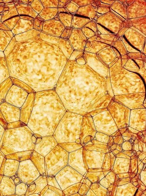 Close-up of yellow lubricating oil