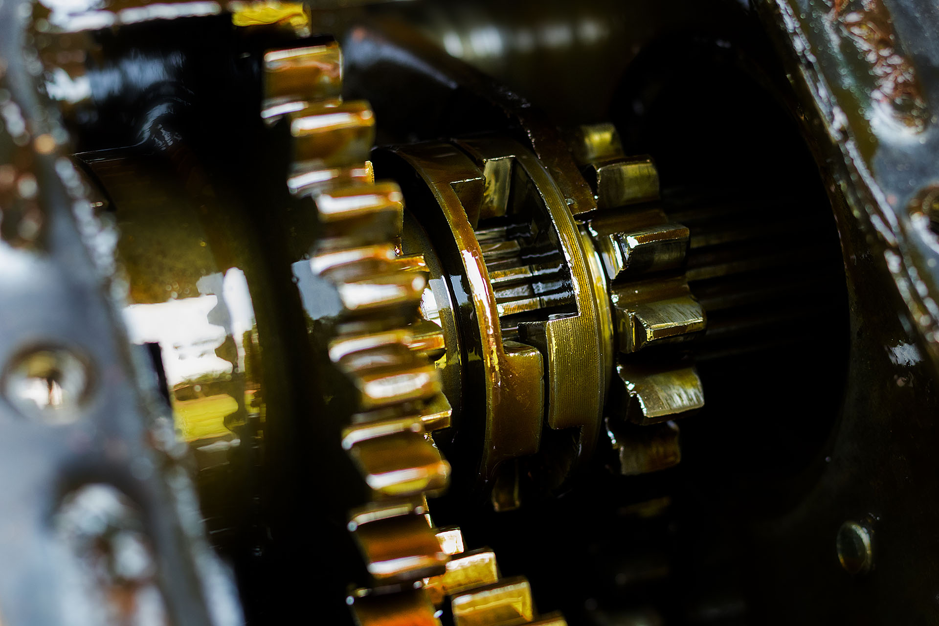 Lubricated gear wheels with yellow lubricating oil on them