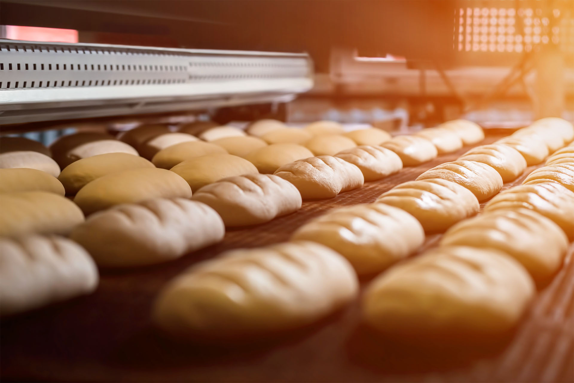 Brötchen im Backofen 