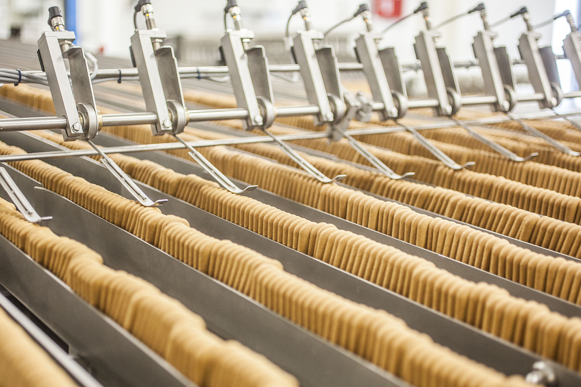 Fabrication de biscuits