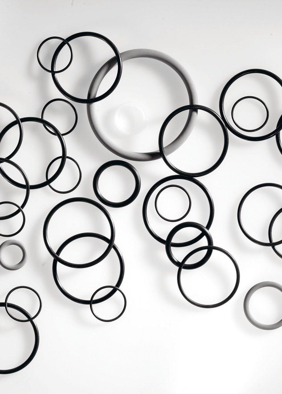 Black O-rings on white background
