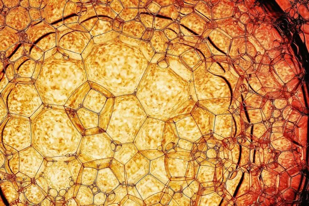 Close-up of yellow lubricating oil