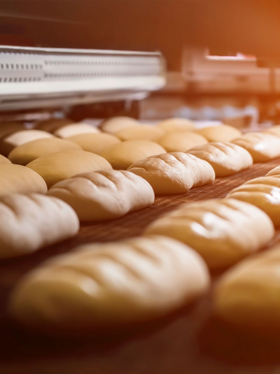 Bread rolls in the oven